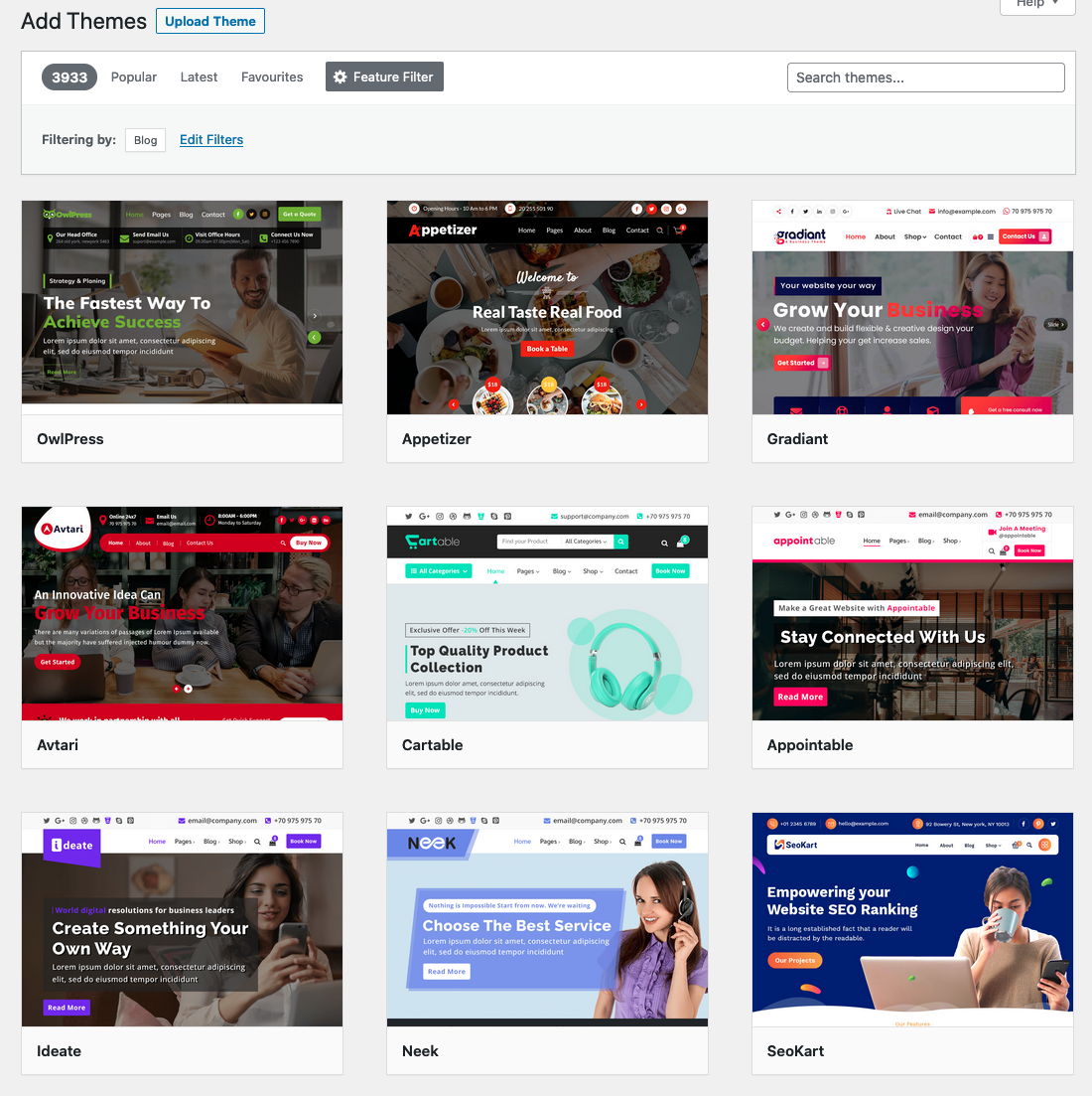 Screenshot displaying the results when looking for a blog theme using the &lsquo;blog&rsquo; filter, showing no themes purposefully designed for blogging
